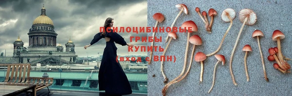 прущая мука Вязьма