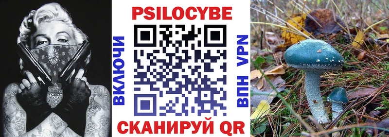 хочу наркоту  блэк спрут маркетплейс  Галлюциногенные грибы ЛСД  Ковров 